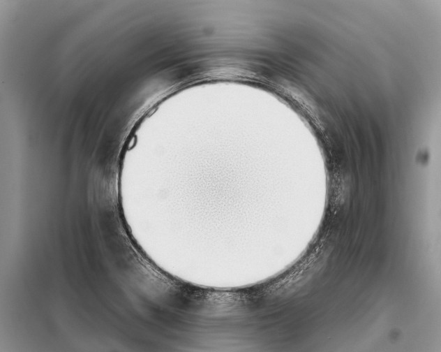 X0000097901322200804111034