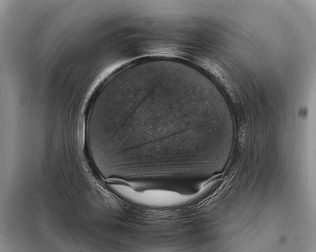 X0000097901323200804111034