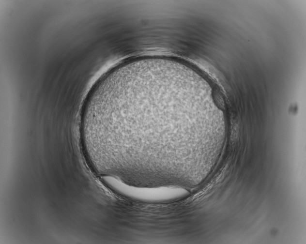 X0000097901325200804111034