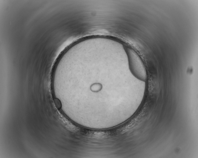 X0000097901326200804111034