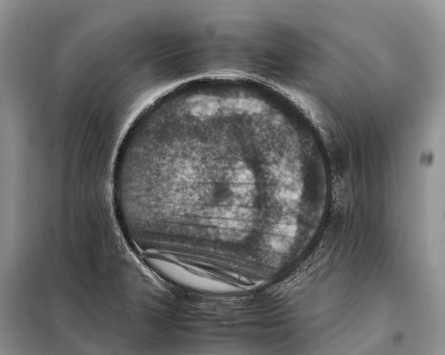 X0000097901327200804111034