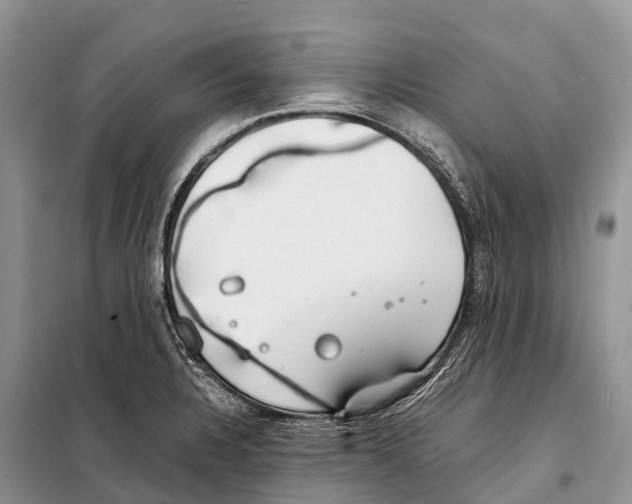 X0000097901328200804111034