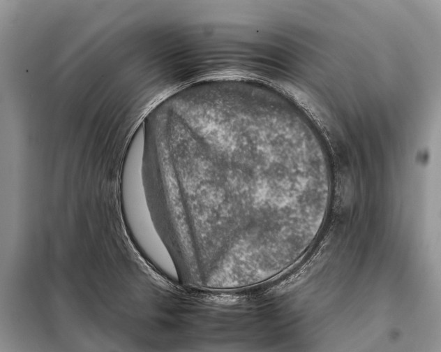 X0000097901329200804111034