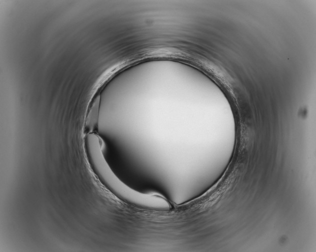 X0000097901330200804111034