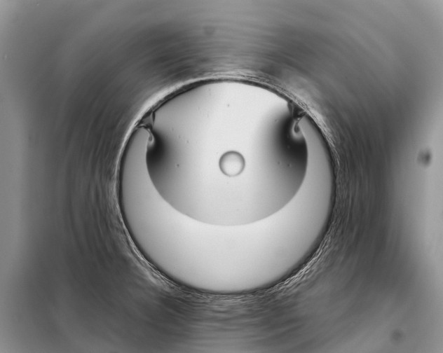 X0000097901332200804111034