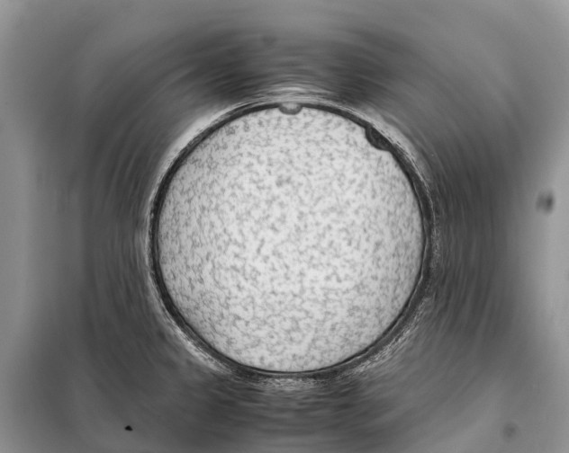 X0000097901333200804111034