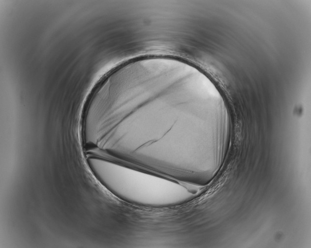 X0000097901334200804111034