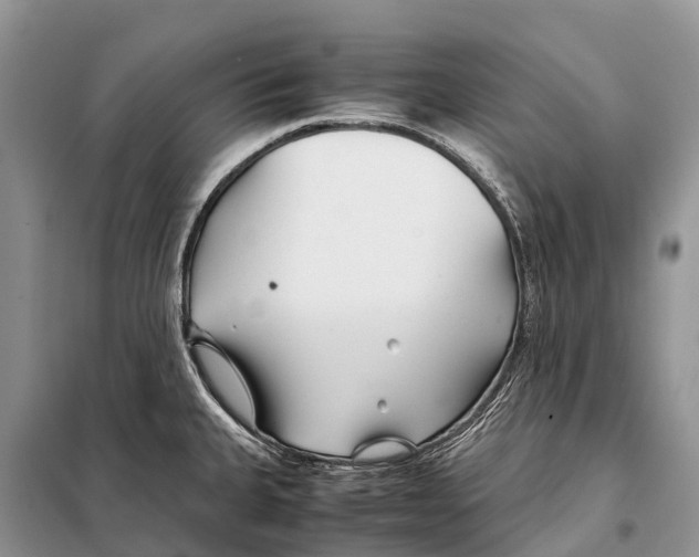 X0000097901335200804111034