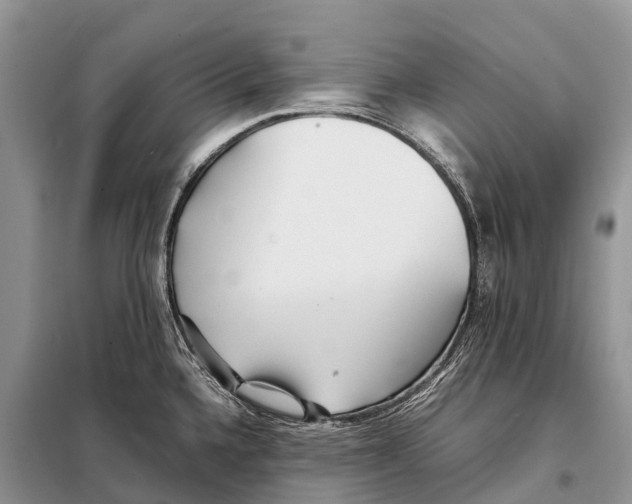 X0000097901336200804111034