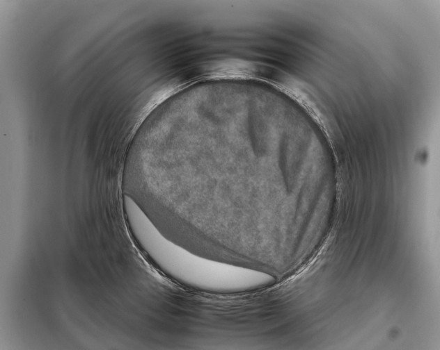 X0000097901337200804111034