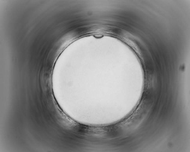 X0000097901338200804111034