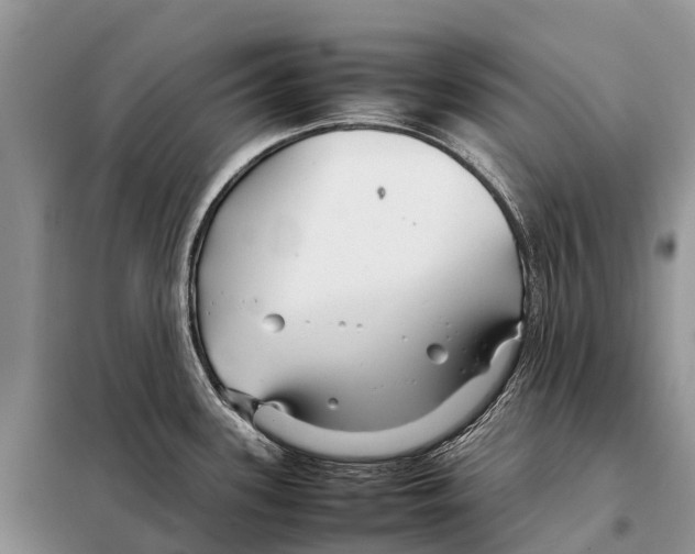 X0000097901339200804111034