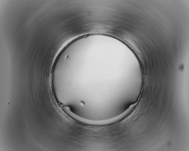 X0000097901340200804111034