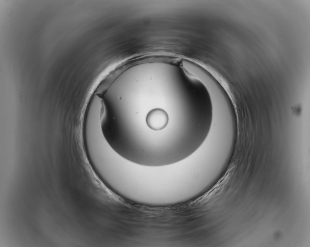 X0000097901341200804111034