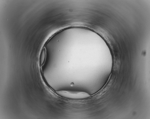 X0000097901342200804111034