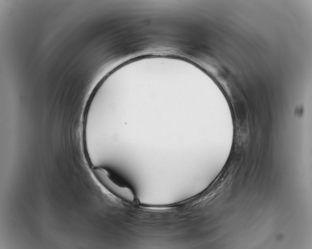 X0000097901343200804111034