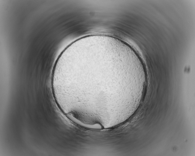 X0000097901344200804111034