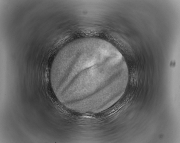 X0000097901346200804111034