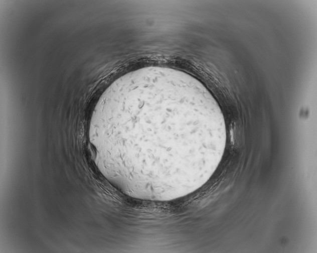 X0000097901347200804111034