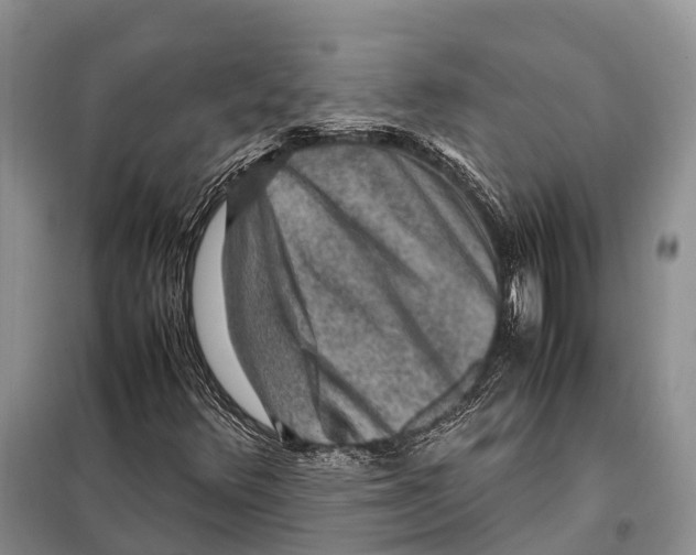 X0000097901348200804111033