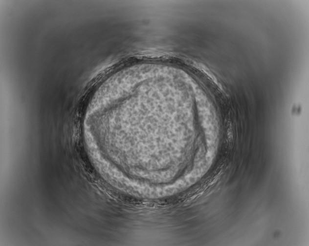 X0000097901350200804111033