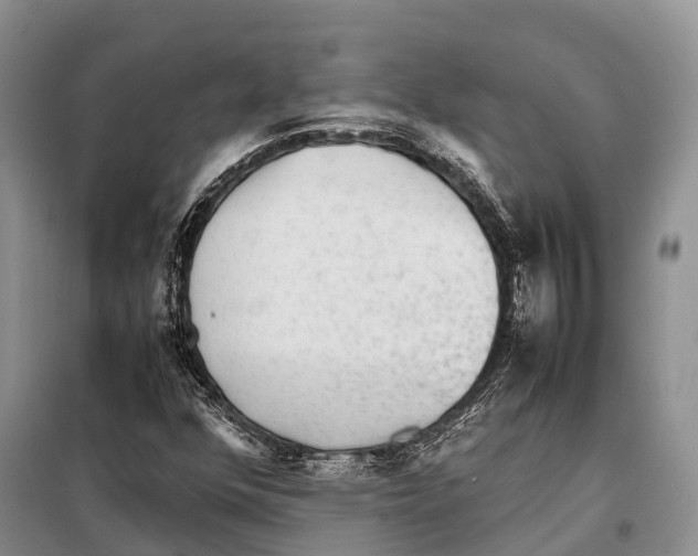 X0000097901352200804111033