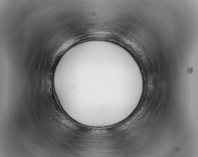 X0000097901354200804111033