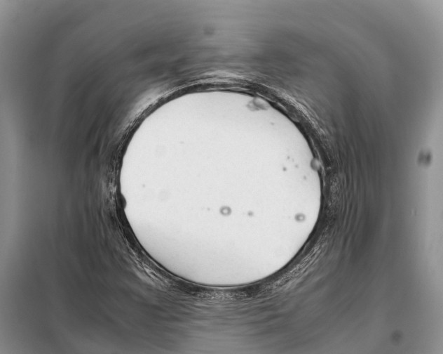 X0000097901355200804111033