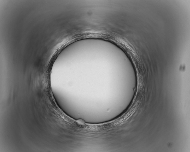 X0000097901357200804111033