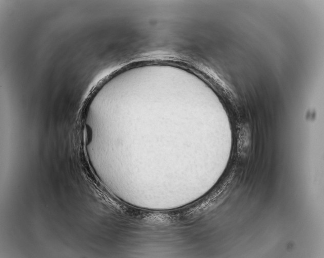 X0000097901358200804111033