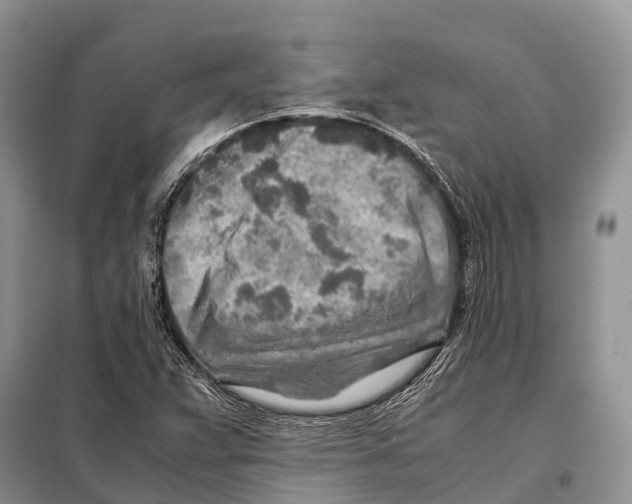 X0000097901359200804111033