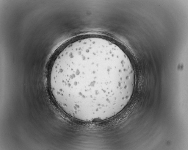 X0000097901360200804111033