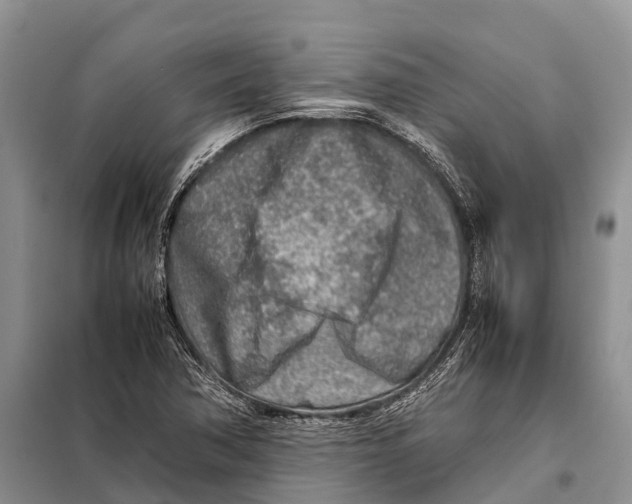 X0000097901362200804111033