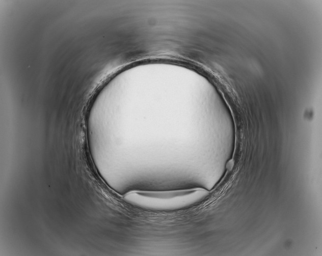 X0000097901363200804111033