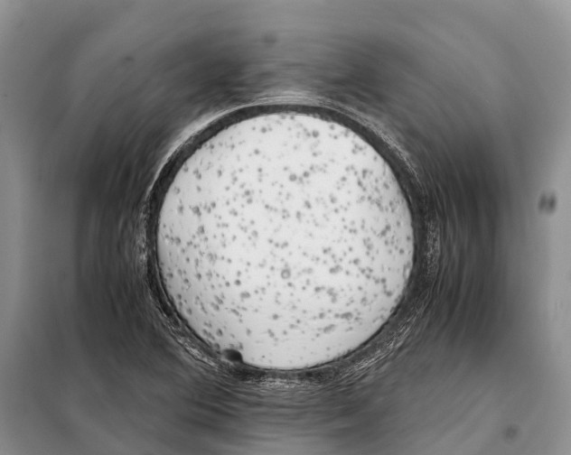 X0000097901364200804111033