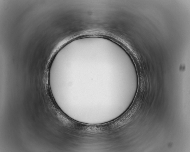 X0000097901366200804111033