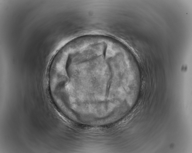 X0000097901367200804111033