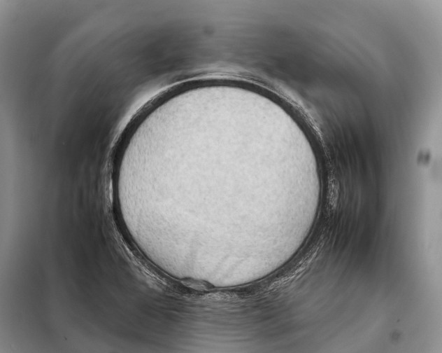 X0000097901368200804111033