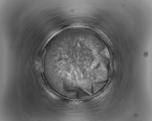 X0000097901369200804111033