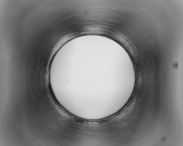 X0000097901370200804111033