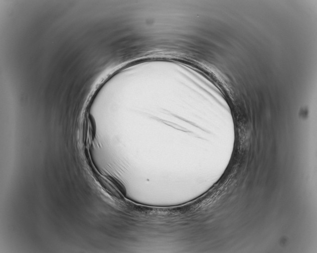 X0000097901371200804111033