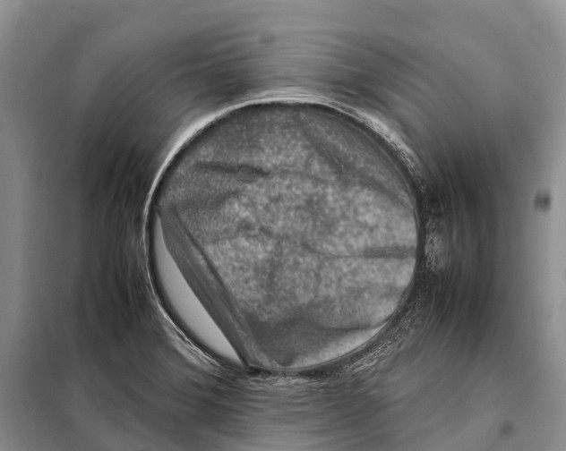 X0000097901372200804111033