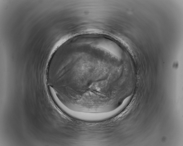 X0000097901373200804111033