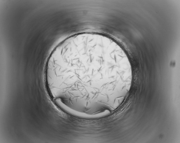 X0000097901375200804111033