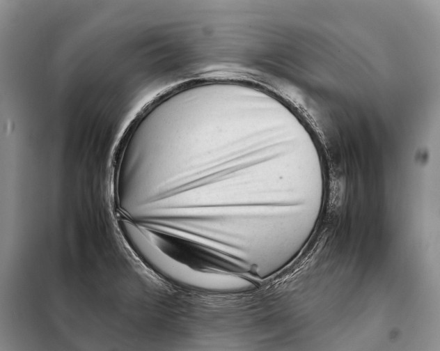 X0000097901376200804111033