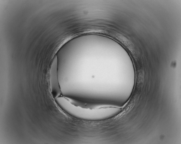 X0000097901377200804111033