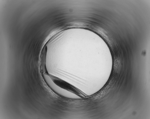 X0000097901378200804111033