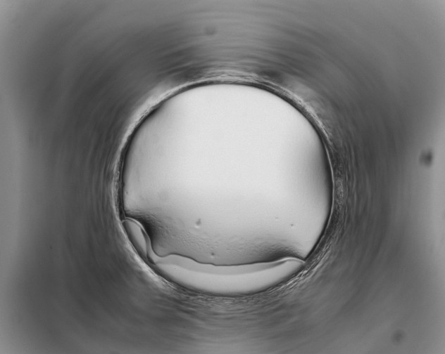 X0000097901379200804111033