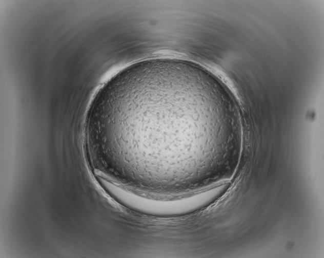 X0000097901381200804111033