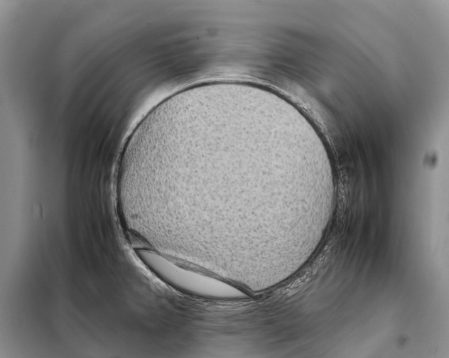 X0000097901382200804111033